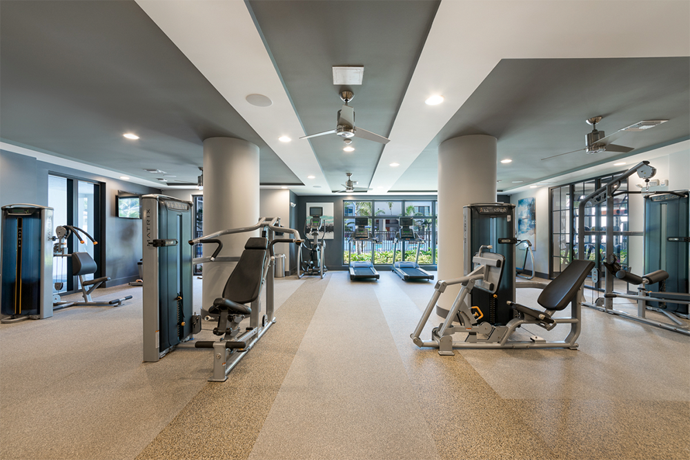 imgi_155_500-Ocean-Gym-3