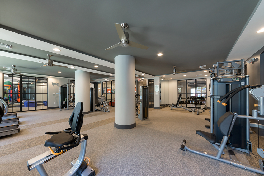 imgi_158_500-Ocean-Gym-2